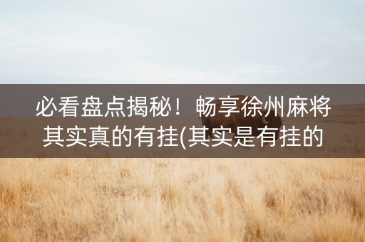 必看盘点揭秘！畅享徐州麻将其实真的有挂(其实是有挂的)