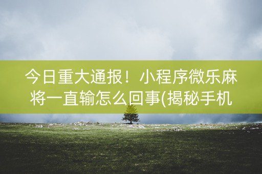 今日重大通报！小程序微乐麻将一直输怎么回事(揭秘手机上提高胜率)