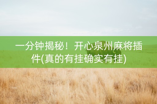 一分钟揭秘！开心泉州麻将插件(真的有挂确实有挂)