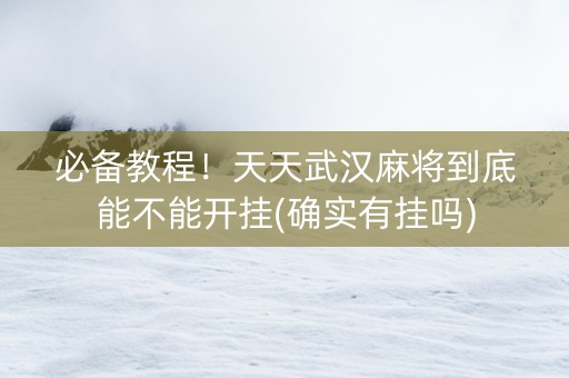 必备教程！天天武汉麻将到底能不能开挂(确实有挂吗)