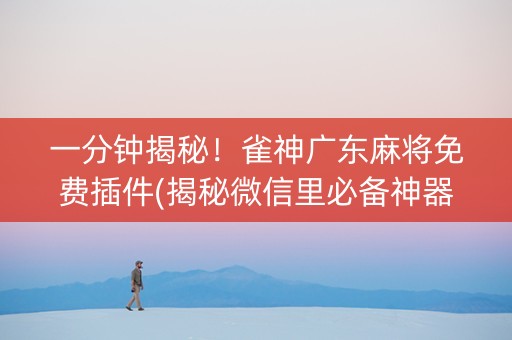 一分钟揭秘！雀神广东麻将免费插件(揭秘微信里必备神器)