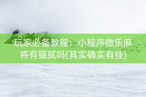 玩家必备教程！小程序微乐麻将有猫腻吗(其实确实有挂)