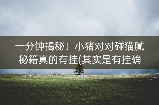 一分钟揭秘！小猪对对碰猫腻秘籍真的有挂(其实是有挂确实有挂)