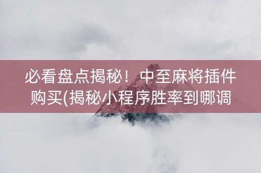 必看盘点揭秘！中至麻将插件购买(揭秘小程序胜率到哪调)