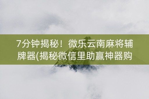 7分钟揭秘！微乐云南麻将辅牌器(揭秘微信里助赢神器购买)