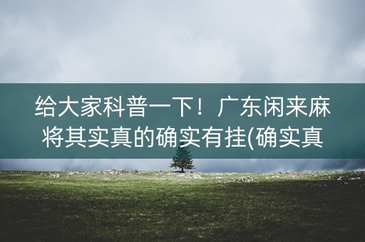 给大家科普一下！广东闲来麻将其实真的确实有挂(确实真有挂)