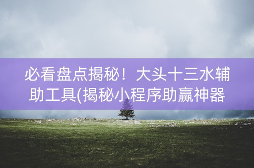 必看盘点揭秘！大头十三水辅助工具(揭秘小程序助赢神器购买)