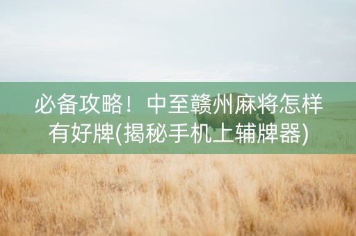 必备攻略！中至赣州麻将怎样有好牌(揭秘手机上辅牌器)