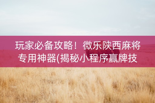 玩家必备攻略！微乐陕西麻将专用神器(揭秘小程序赢牌技巧)