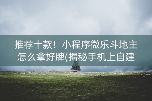 推荐十款！小程序微乐斗地主怎么拿好牌(揭秘手机上自建房怎么赢)