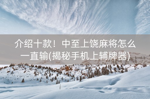 介绍十款！中至上饶麻将怎么一直输(揭秘手机上辅牌器)