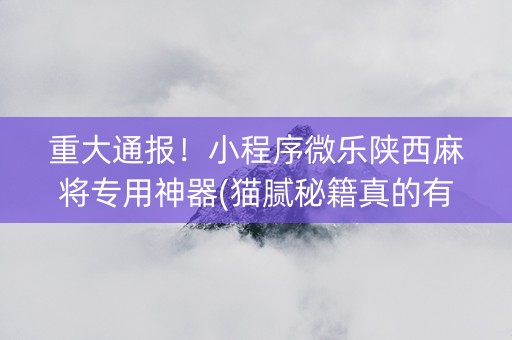 重大通报！小程序微乐陕西麻将专用神器(猫腻秘籍真的有挂)