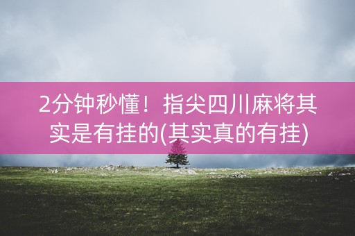 2分钟秒懂！指尖四川麻将其实是有挂的(其实真的有挂)