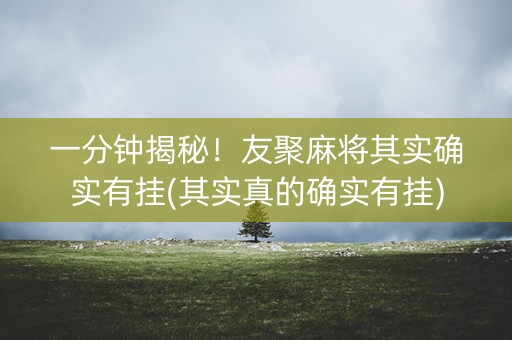 一分钟揭秘！友聚麻将其实确实有挂(其实真的确实有挂)