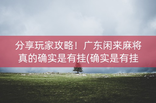 分享玩家攻略！广东闲来麻将真的确实是有挂(确实是有挂)