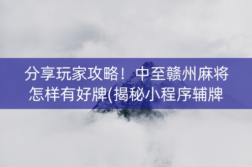 分享玩家攻略！中至赣州麻将怎样有好牌(揭秘小程序辅牌器)