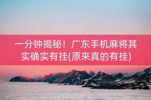 一分钟揭秘！广东手机麻将其实确实有挂(原来真的有挂)