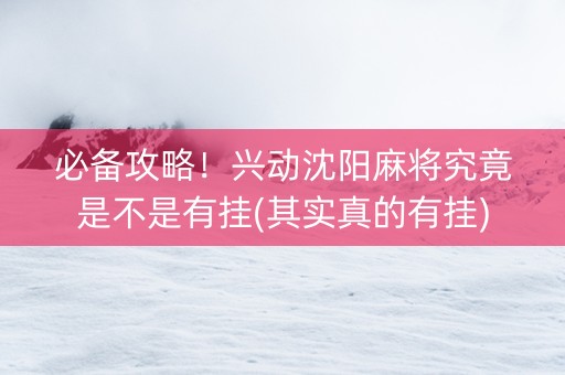 必备攻略！兴动沈阳麻将究竟是不是有挂(其实真的有挂)