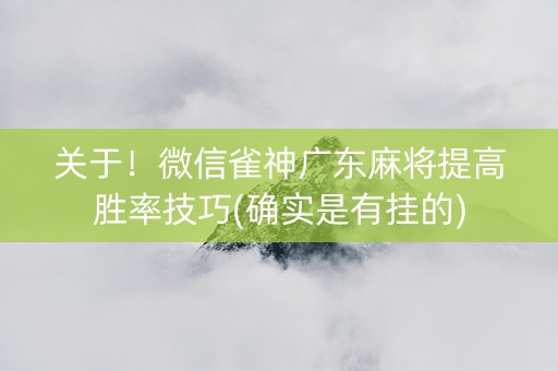 关于！微信雀神广东麻将提高胜率技巧(确实是有挂的)