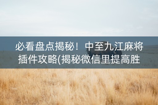 必看盘点揭秘！中至九江麻将插件攻略(揭秘微信里提高胜率)