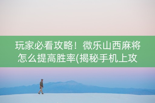 玩家必看攻略！微乐山西麻将怎么提高胜率(揭秘手机上攻略插件)