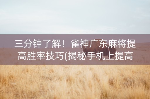 三分钟了解！雀神广东麻将提高胜率技巧(揭秘手机上提高胜率)