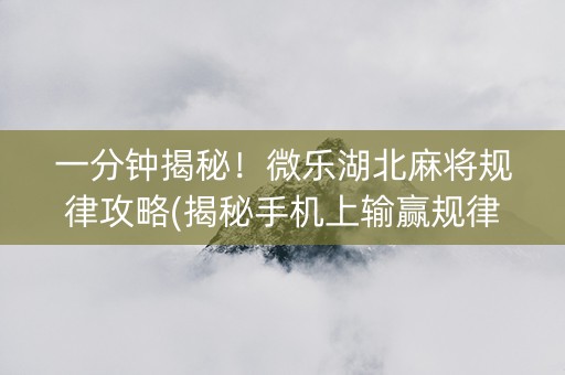 一分钟揭秘！微乐湖北麻将规律攻略(揭秘手机上输赢规律)