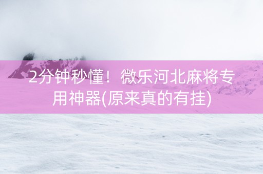 2分钟秒懂！微乐河北麻将专用神器(原来真的有挂)