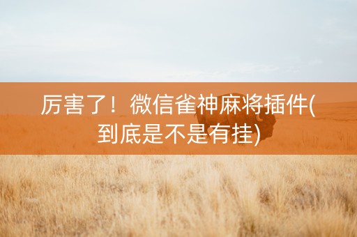厉害了！微信雀神麻将插件(到底是不是有挂)
