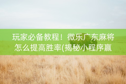 玩家必备教程！微乐广东麻将怎么提高胜率(揭秘小程序赢的诀窍)