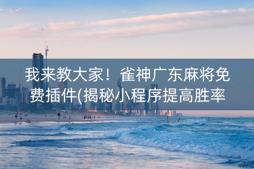 我来教大家！雀神广东麻将免费插件(揭秘小程序提高胜率)