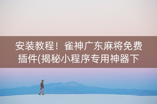安装教程！雀神广东麻将免费插件(揭秘小程序专用神器下载)