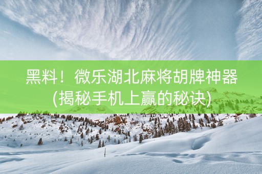 黑料！微乐湖北麻将胡牌神器(揭秘手机上赢的秘诀)