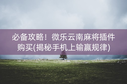 必备攻略！微乐云南麻将插件购买(揭秘手机上输赢规律)