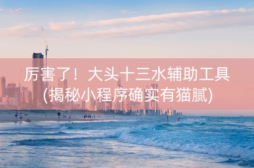 厉害了！大头十三水辅助工具(揭秘小程序确实有猫腻)