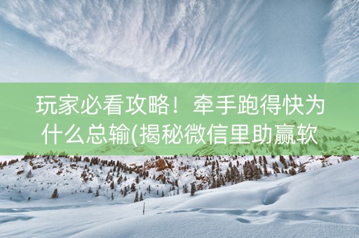玩家必看攻略！牵手跑得快为什么总输(揭秘微信里助赢软件)