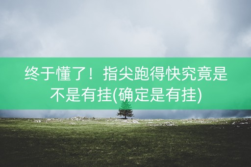 终于懂了！指尖跑得快究竟是不是有挂(确定是有挂)