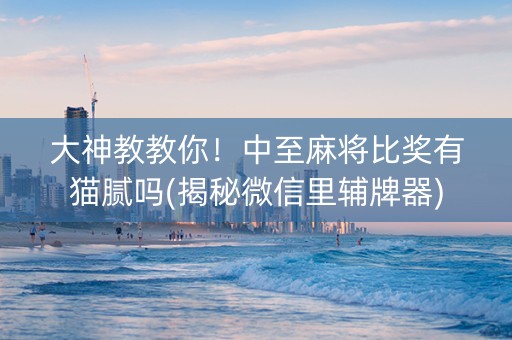 大神教教你！中至麻将比奖有猫腻吗(揭秘微信里辅牌器)