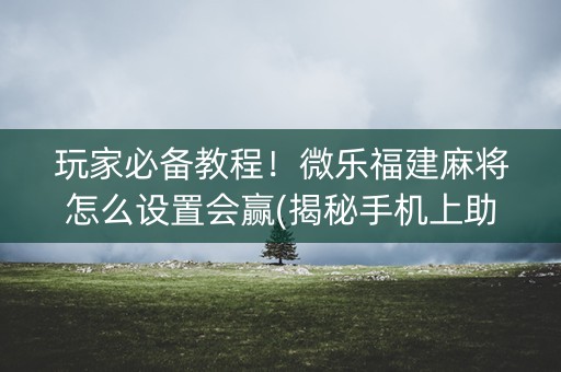 玩家必备教程！微乐福建麻将怎么设置会赢(揭秘手机上助赢软件)