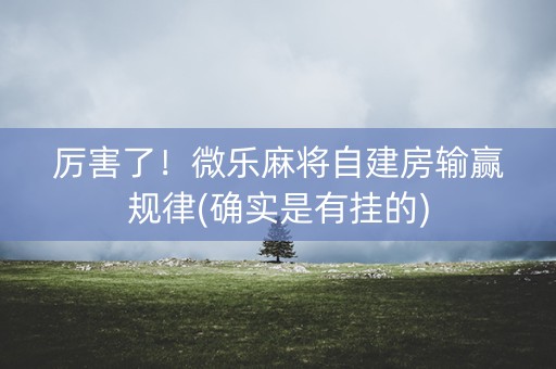厉害了！微乐麻将自建房输赢规律(确实是有挂的)
