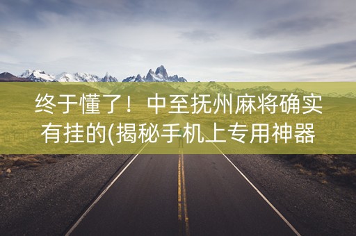 终于懂了！中至抚州麻将确实有挂的(揭秘手机上专用神器下载)