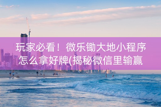 玩家必看！微乐锄大地小程序怎么拿好牌(揭秘微信里输赢规律)