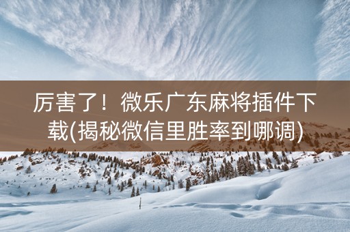 厉害了！微乐广东麻将插件下载(揭秘微信里胜率到哪调)