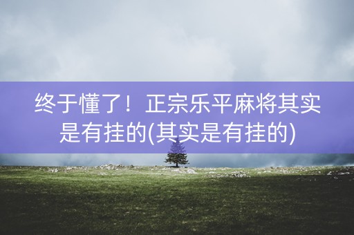 终于懂了！正宗乐平麻将其实是有挂的(其实是有挂的)