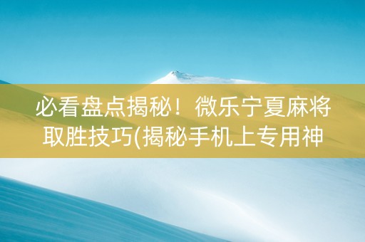 必看盘点揭秘！微乐宁夏麻将取胜技巧(揭秘手机上专用神器)