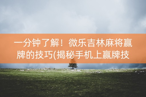 一分钟了解！微乐吉林麻将赢牌的技巧(揭秘手机上赢牌技巧)