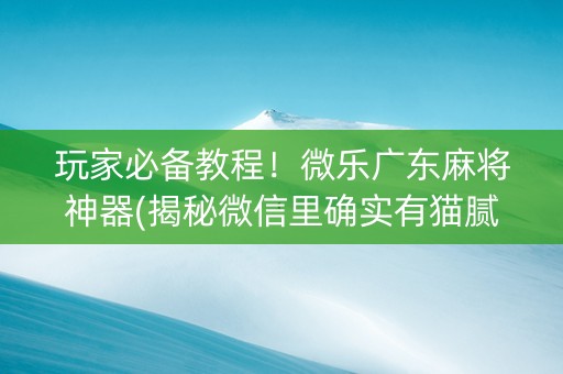 玩家必备教程！微乐广东麻将神器(揭秘微信里确实有猫腻)
