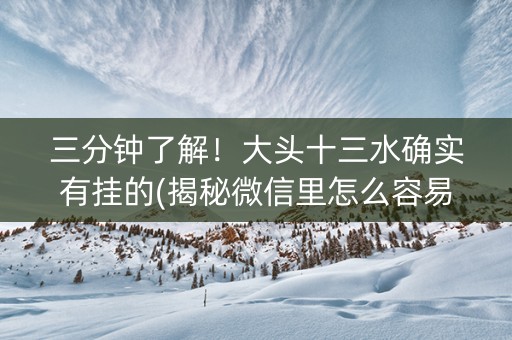 三分钟了解！大头十三水确实有挂的(揭秘微信里怎么容易赢)