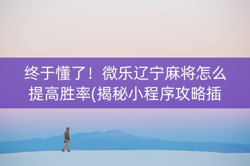 终于懂了！微乐辽宁麻将怎么提高胜率(揭秘小程序攻略插件)