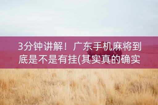 3分钟讲解！广东手机麻将到底是不是有挂(其实真的确实有挂)